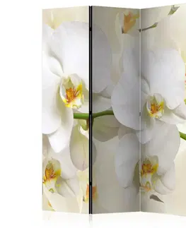 Paravány Paraván Orchid Branch Dekorhome 135x172 cm (3-dílný)