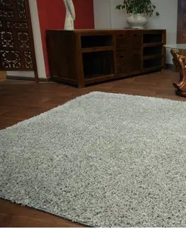 Koberce a koberečky Dywany Lusczow Kusový koberec SHAGGY Izebelie 5cm šedý, velikost 200x350