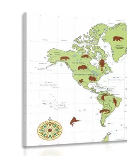 Obrazy mapy Obraz mapa se zvířaty
