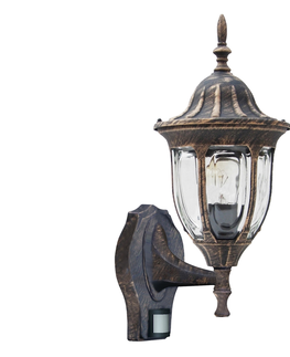 Zahradní lampy Rabalux Rabalux 8370 - Venkovní svítidlo s čidlem MILANO 1xE27/60W/230V 