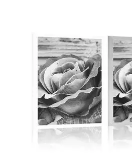 Černobílé Plakát elegantní vintage růže v černobílém provedení