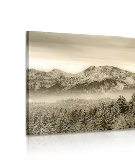 Černobílé obrazy Obraz zamrzlé hory v sépiovém provedení