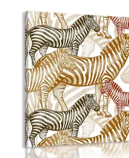 Obrazy zebry a žirafy Obraz říše zeber