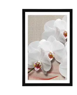 Květiny Plakát s paspartou bílá orchidej na plátně