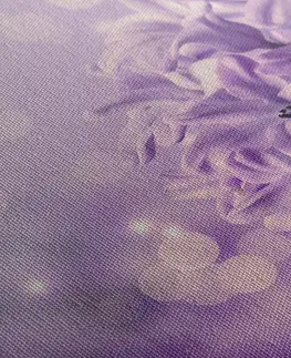 Obrazy květů Obraz fialový květ šeříku