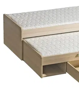Postele Dolmar Dětská postel s přistýlkou CORNETO L16 Barva: Bílý briliant / dub nash