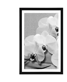 Černobílé Plakát s paspartou orchidej na plátně v černobílém provedení