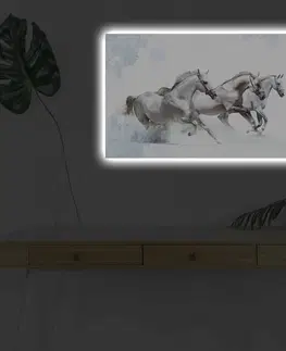 Obrazy Wallity Obraz s LED osvětlením DIVOCÍ KONĚ 38 45 x 70 cm