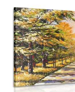 Obrazy přírody a krajiny Obraz podzimní alej stromů
