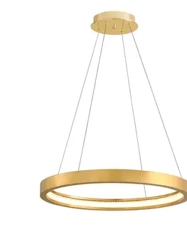 LED lustry a závěsná svítidla HUDSON VALLEY závěsné svítidlo JASMINE kov zlatá LED 65W 2700K stmívatelné 284-41C-CE