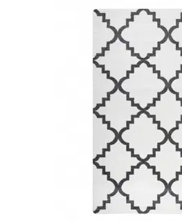 Koberce a koberečky Dywany Lusczow Kusový koberec SKETCH CAMERON bílý /šedý trellis, velikost 120x170