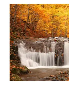 Tapety příroda Fototapeta Podzimní krajina: vodopád v lese- Autumn krajina: waterfall in forest