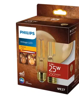LED žárovky Philips Philips E27 LED žárovka globe G95 3,1W 1800K zlatá