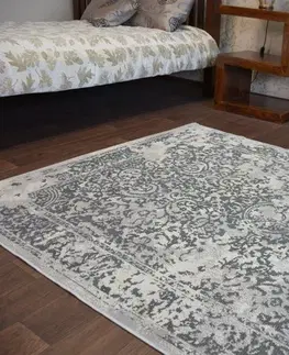 Koberce a koberečky Dywany Lusczow Kusový koberec VINTAGE 22208/356, velikost 200x290