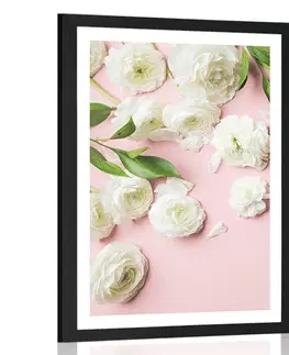 Květiny Plakát s paspartou růže v romantickém provedení