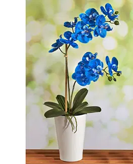 Květinové dekorace Modrá orchidej