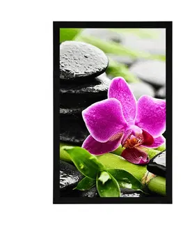 Feng Shui Plakát wellness zátiší s fialovou orchidejí