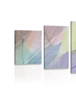 Obrazy zátiší 5-dílný obraz žilky na barevných listech