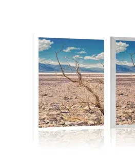 Příroda Plakát země sucha