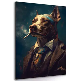 Obrazy zvířecí gangsteři Obraz zvířecí gangster pes