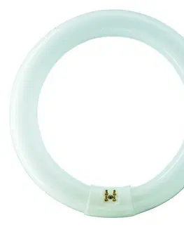 Kruhové zářivky Philips kruhová MASTER TL-E Circular Super 80 40W/840 1CT  G10q