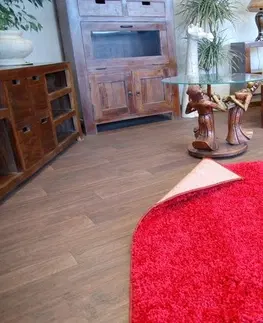 Koberce a koberečky Dywany Lusczow Kusový koberec SHAGGY Izebelie 5cm bordó, velikost 400x500