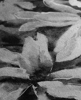 Černobílé obrazy Obraz rozkvetlý akvarelový strom v černobílém provedení