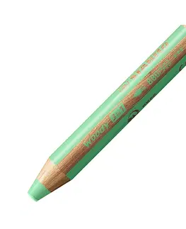 Hračky STABILO - Barvička, vodovka a voskovka - woody 3 v 1 - pastelová zelená