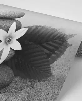 Samolepící tapety Samolepící fototapeta černobílé kameny v písku