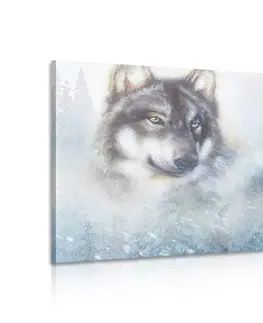 Obrazy zvířat Obraz vlk v zasněžené krajině