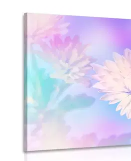 Obrazy květů Obraz květ chryzantémy