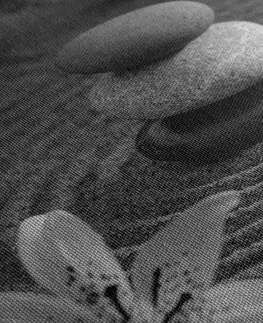 Černobílé obrazy Obraz Zen zahrada a kameny v písku v černobílém provedení