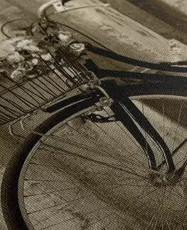 Černobílé obrazy Obraz rustikální kolo v sépiovém provedení