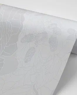 Tapety příroda Tapeta abstraktní šišky v šedém provedení