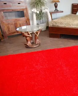 Koberce a koberečky Dywany Lusczow Kusový koberec SHAGGY Izebelie 5cm červený, velikost 120x170