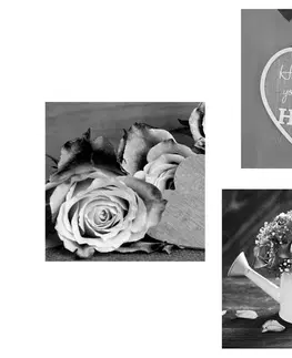 Sestavy obrazů Set obrazů černobílé květiny s nápisem Home
