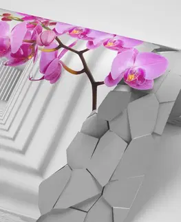 Vzorované tapety Tapeta futuristická orchidej