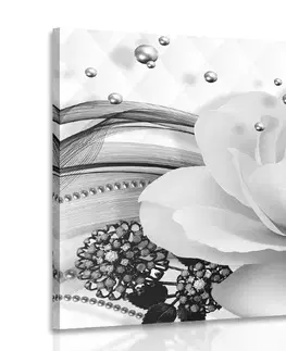 Černobílé obrazy Obraz luxusní růže s abstrakcí v černobílém provedení