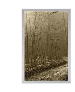 Černobílé Plakát sépiová cestička do lesa