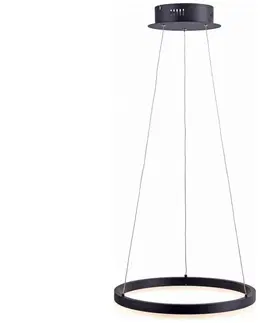 Svítidla Paul Neuhaus Paul Neuhaus 2381-13 - LED Stmívatelný lustr na lanku TITUS LED/28W/230V 