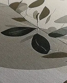 Obrazy stromy a listy Obraz minimalistické rostlinky s bohémským nádechem
