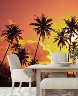 Samolepící tapety Samolepící tapeta kokosové palmy na pláži