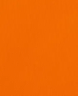 Stínící textilie Stínící plachta obdélníková 2,5 x 5 m oxfordská látka Dekorhome Oranžová