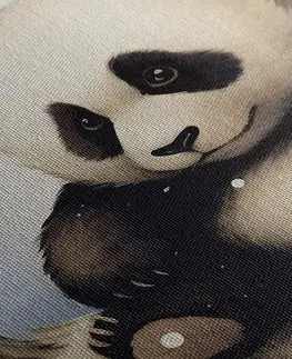 Zasněná zvířátka Obraz zasněná panda