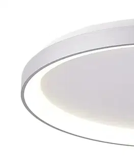 LED stropní svítidla Light Impressions Deko-Light stropní přisazené svítidlo Merope 800 mm, 60,0 W, 3000/4000 K, stříbrná 220-240V AC/50-60Hz 60,00 W 3000/4000 K 4900 lm stříbrná 348196