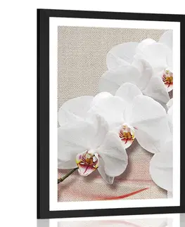 Květiny Plakát s paspartou bílá orchidej na plátně
