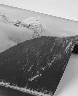 Černobílé tapety Fototapeta zimní krajina v černobílém