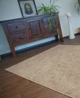 Koberce a koberečky Dywany Lusczow Kusový koberec SERENADE Hagy světle hnědý, velikost 300x300