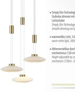 LED lustry a závěsná svítidla PAUL NEUHAUS LED závěsné svítidlo 53x53, nastavitelná výška, 3 ramenné, matná mosaz, kruhové SimplyDim 3000K