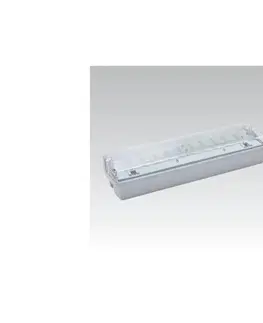 Svítidla  LED Nouzové svítidlo CARLA LED/5,51W/230V IP65 